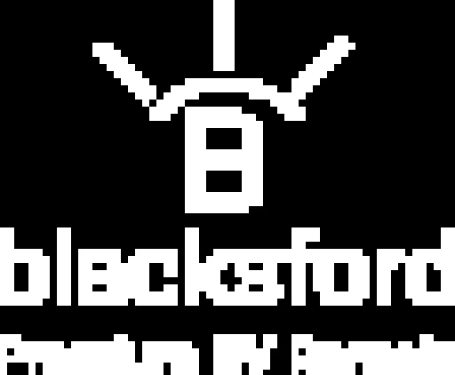 Blacksford Premium RV Rentals promotional image